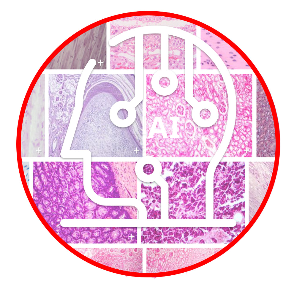 ACCURATE AND REPEATABLE IMAGING