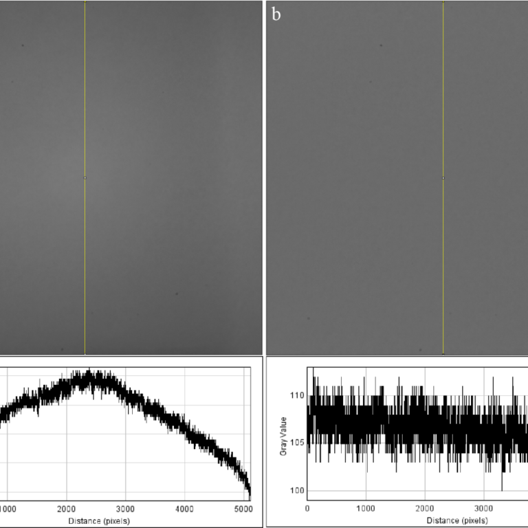 flat-field-correction-mv-cameras