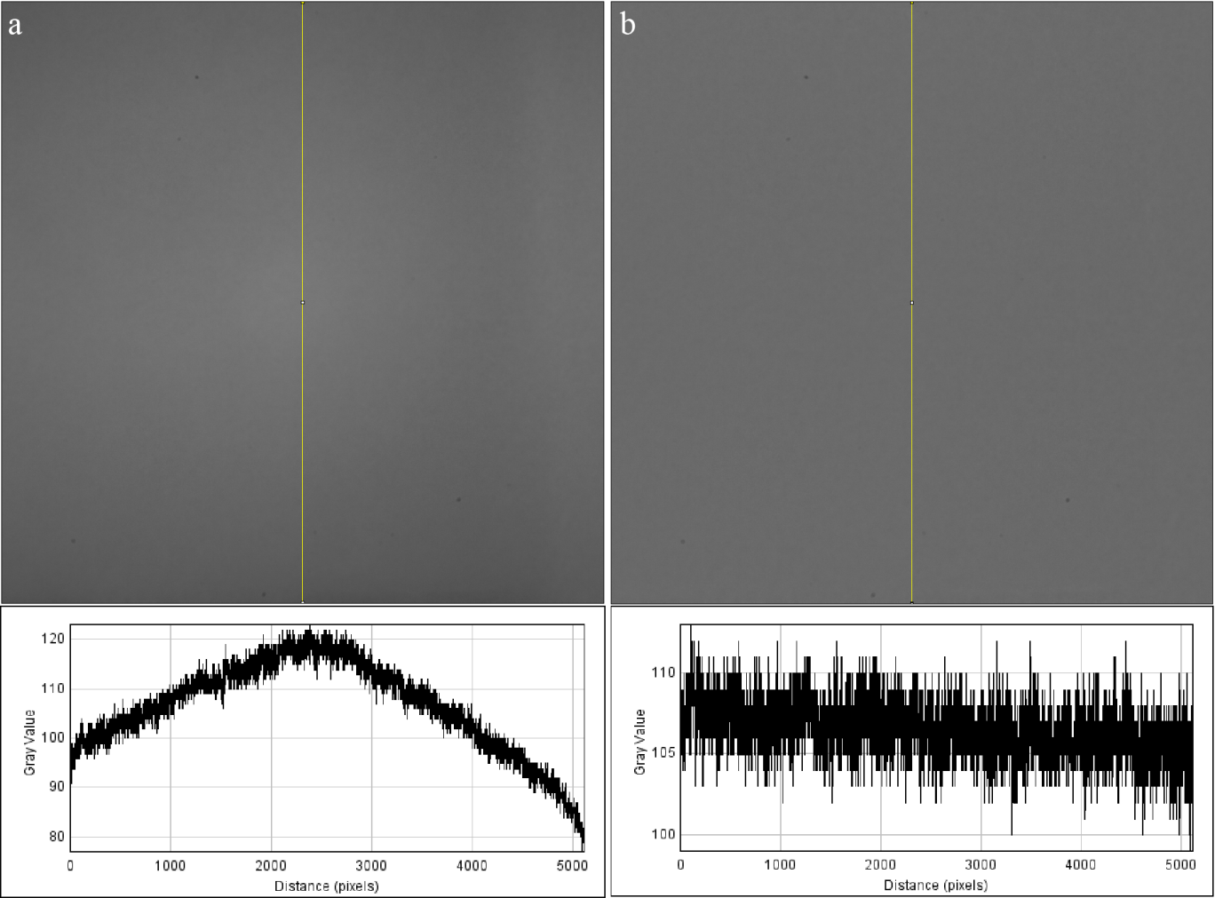 flat-field-correction-mv-cameras