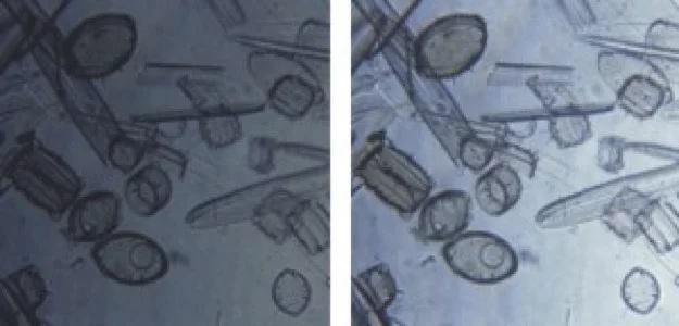 Left side full resolution; Right side 2×2 binning. (Source: Quantum Imaging)