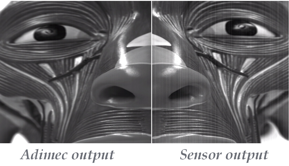 Adimec camera output compared to sensor output