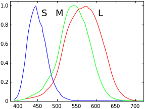spectral response of human eye