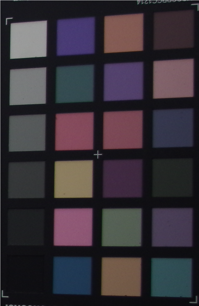 Implementing a visible camera for both daylight and lowlight vision