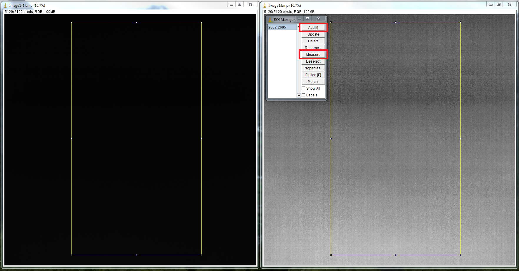 Two identical ROIs in two different images