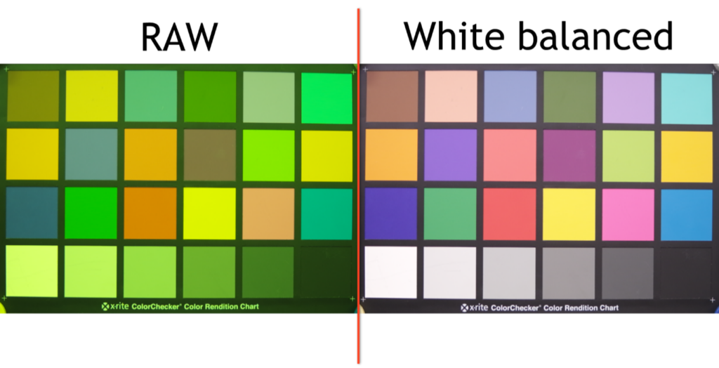 Raw vs white balance