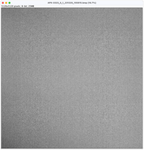 Figure2b_IT_1500