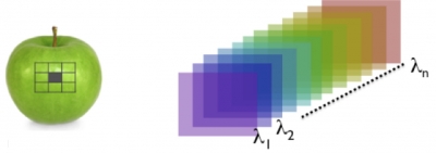 Hyperspectral Imaging